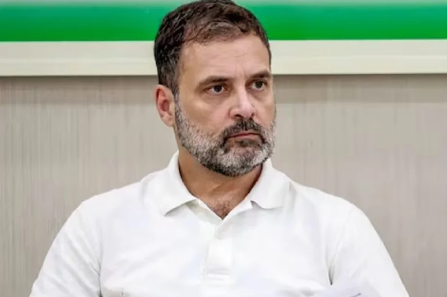 सुप्रीम कोर्ट ने Rahul Gandhi को इस मामले में लगाई फटकार, बोल दी है ये बात