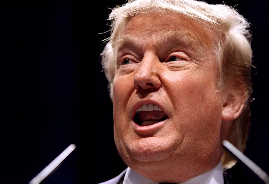 America ने अब भारत को दी ये धमकी, कहा- ट्रंप और पुतिन के बीच शांति वार्ता विफल होने पर...