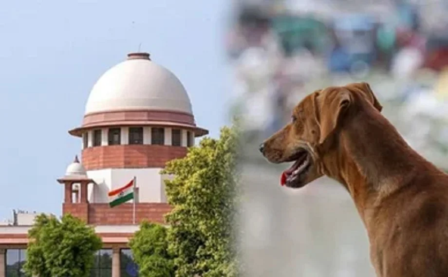 Supreme Court ने कुत्तों को लेकर सुनाया बड़ा फैसला, कहा- सभी कुत्तों को शेल्टर होम में नहीं रखा जाएगा, टीकाकरण के बाद...