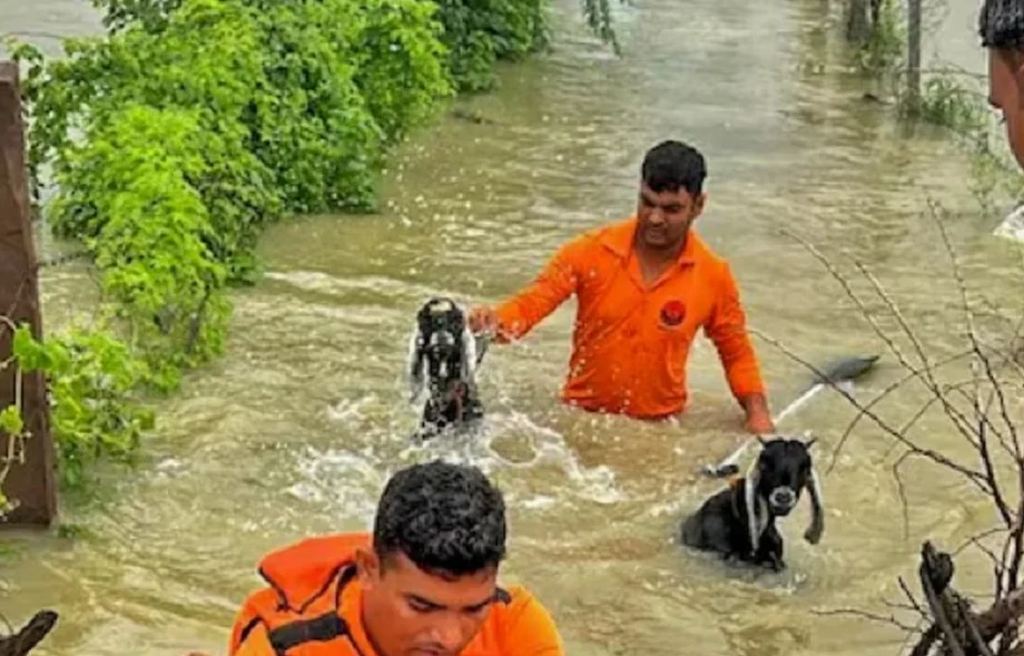 Rajasthan weather update: आज इतने जिलों के लिए जारी हुआ तेज बारिश का अलर्ट, यहां पर स्कूलें रहेंगी बंद