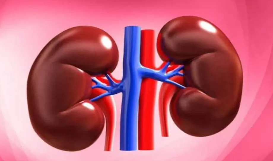 Health Tips: सुबह उठते ही नजर आ रहे हैं अगर ये चार लक्षण तो भूलकर भी नहीं करें नजरअंदाज, इसके हो सकते हैं संकेत
