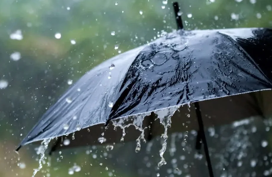 Rajasthan weather update: अभी नहीं मिलेगी भारी बारिश से राहत, आज 11 जिलों के लिए है येलो अलर्ट