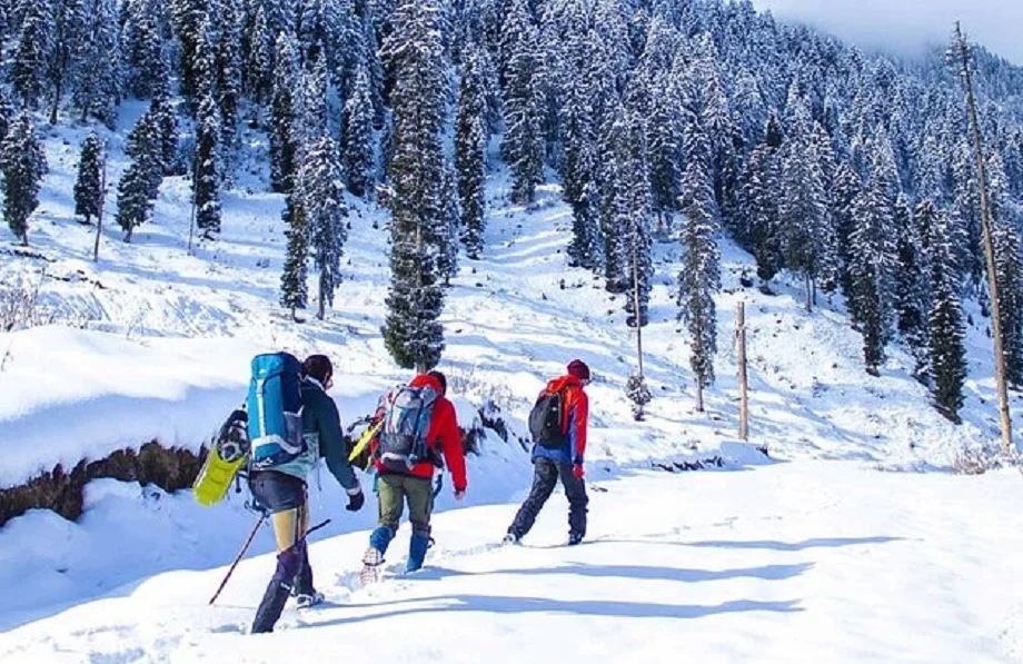 Travel Tips:  आईआरसीटीसी के इस टूर पैकेज से करें श्रीनगर, गुलमर्ग, सोनमर्ग और पहलगाम में प्रकृति की खूबसूरती का दीदार