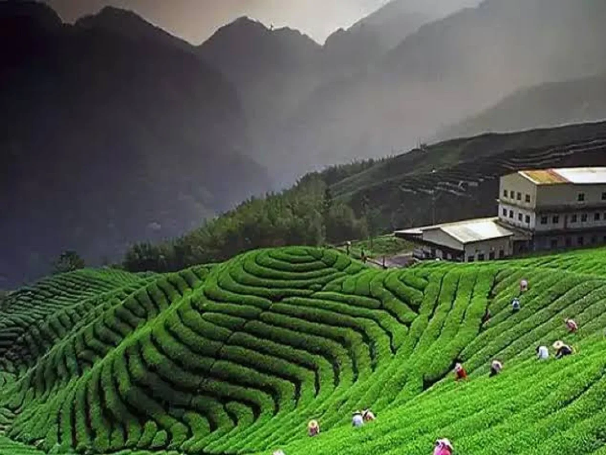 Travel Tips: आपका दिल जीत लेंगे ये खूबसूरत पर्यटक स्थल, बना लें घूमने का प्लान