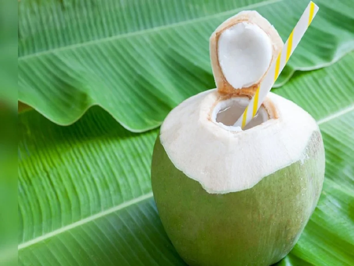 Health Tips: सेहत के लिए बहुत ही लाभकारी होता है नारियल पानी, मिलेंगे ये फायदे