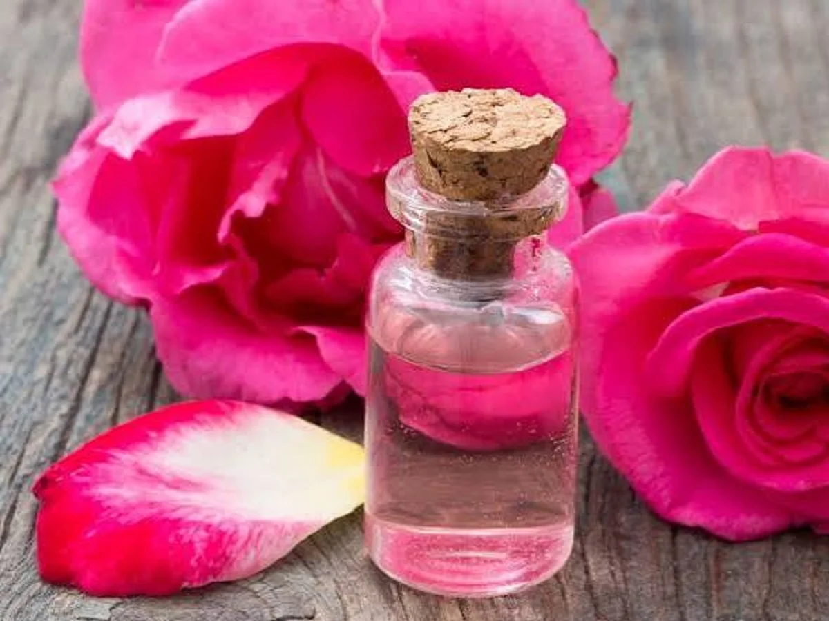 Beauty Tips: त्वचा के लिए कई प्रकार से लाभकारी होता है गुलाब जल, बढ़ा देता है चेहरे की खूबसूरती