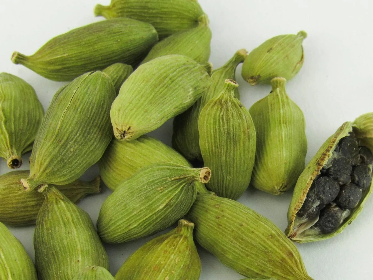 Health Tips: सेहत के लिए कई प्रकार से लाभकारी होती है इलायची, खाने से मिलते हैं ये लाभ
