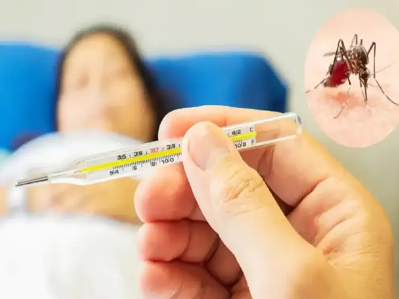 Health Tips: डेंगू बुखार से पीड़ित होने पर इन दो फलों का जरूर करें सेवन, मिलेगा फायदा