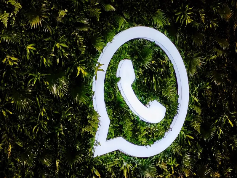WhatsApp अकाउंट में कर लें ये छोटी सी सेटिंग, बढ़ जाएगी खाते की सुरक्षा, फिर…