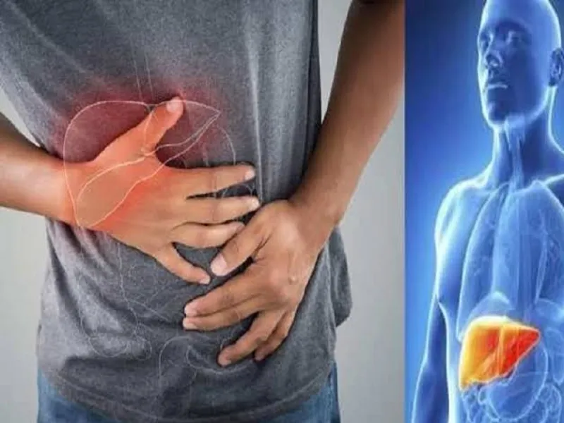 Health Tips: फैटी लीवर की समस्या से छुटकारा पाने के लिए आज ही डाइट में शामिल कर लें ये तीन चीजें