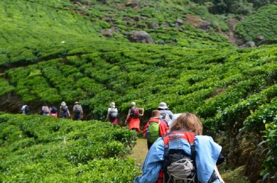 Travel Tips: केरल की यात्रा पर इन दो पर्यटक स्थलों की जरूर करें सैर, यादगार बनेगा टूर