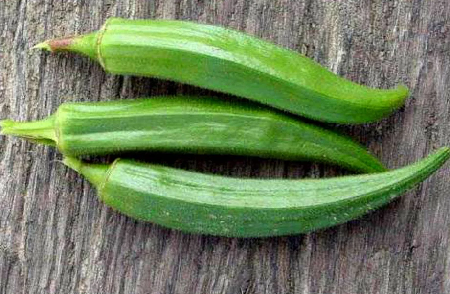 Health Tips: ये लोग भूलकर भी नहीं करें भिंडी का सेवन, बढ़ सकती हैं परेशानियां 