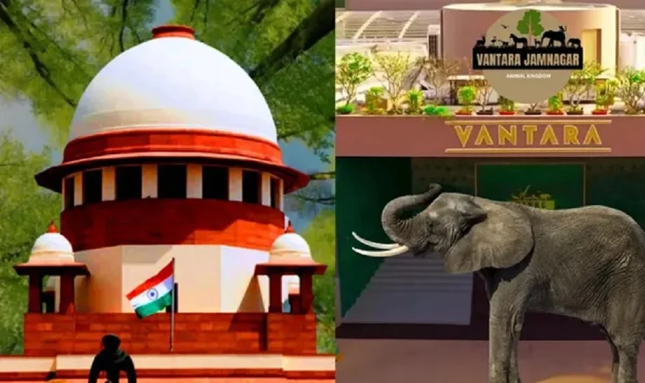 वंतारा को SIT ने दे दी है क्लीन चिट, ये है मामला