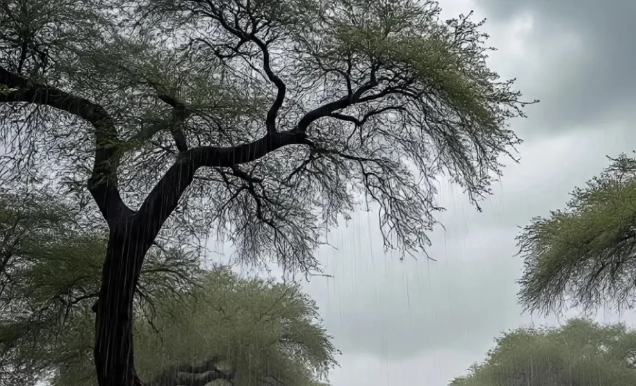 Rajasthan Weather Update: आगामी 4-5 दिन के लिए अब जारी हुआ ये अलर्ट, इन संभागों में हो सकती है बारिश