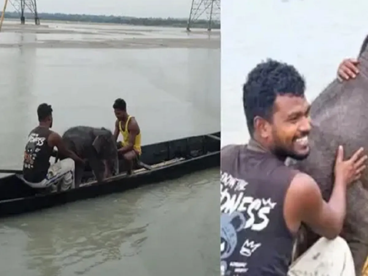 Viral Video: मछुआरों ने तीस्ता नदी में डूब रहे हाथी के बच्चे को बचाया, फिर से पाकर खुशी से झूमने लगी मां | Parmarth TV