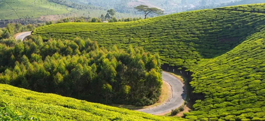 Travel Tips: इन खूबसूरत जगहों को देखने के लिए आपको जरूर जाना चाहिए केरल