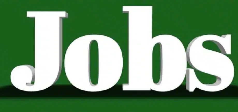 Government Jobs:  टीजीटी के 5346 पदों पर निकली भर्ती, इस तारीख से आवेदन करने का होगा मौका