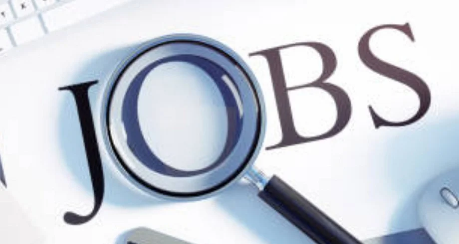 Government Jobs: ट्रेंड ग्रेजुएट टीचर के बंपर पदों की भर्ती के लिए शुरू हुई आवेदन प्रक्रिया