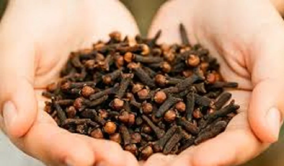 Health Tips:  सेहत के लिए बहुत ही लाभकारी होती है लौंग, इस प्रकार करें सेवन