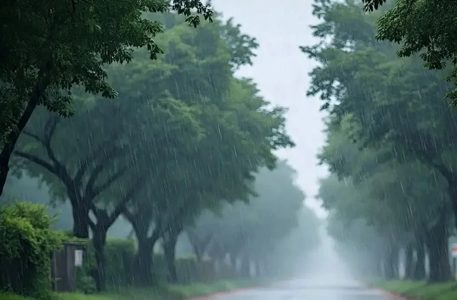 Rajasthan weather update: कड़ाके की ठंड के बीच जारी हुआ बारिश का अलर्ट, ऐसा रहेगा 27 नवंबर तक मौसम