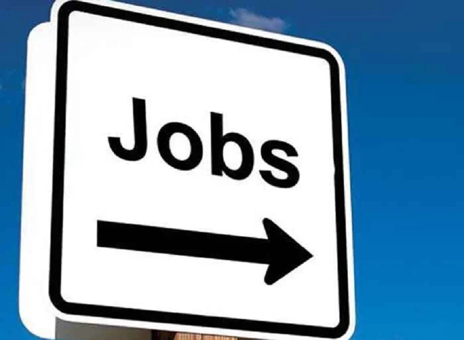 Government jobs: असिस्टेंट टीचर के 13,421 पदों पर निकली भर्ती, इस तारीख तक आवेदन करने है मौका