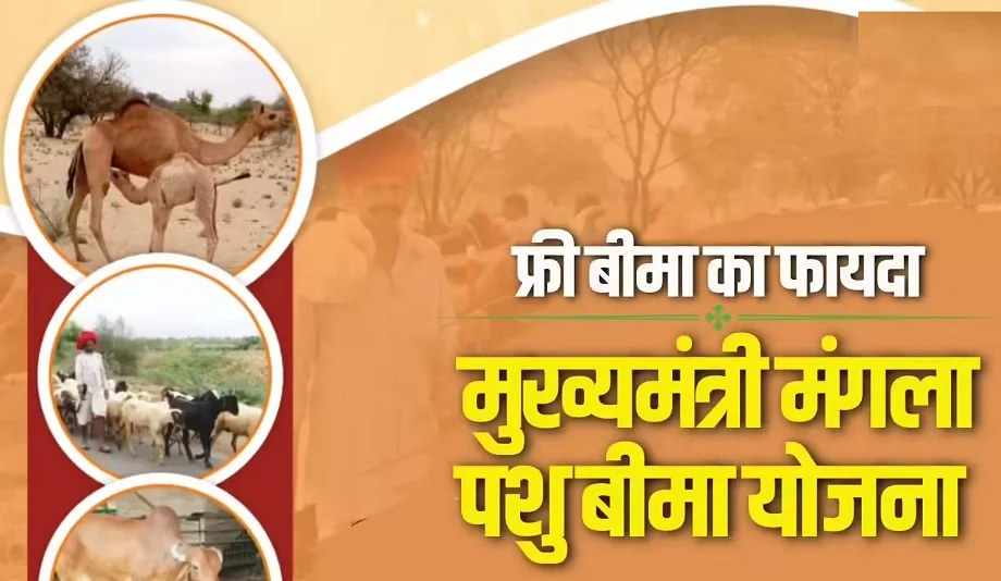 Government Scheme:  मंगला पशु बीमा योजना में हुआ बदलाव, अब इस आधार पर निशुल्क मिलेगा फायदा
