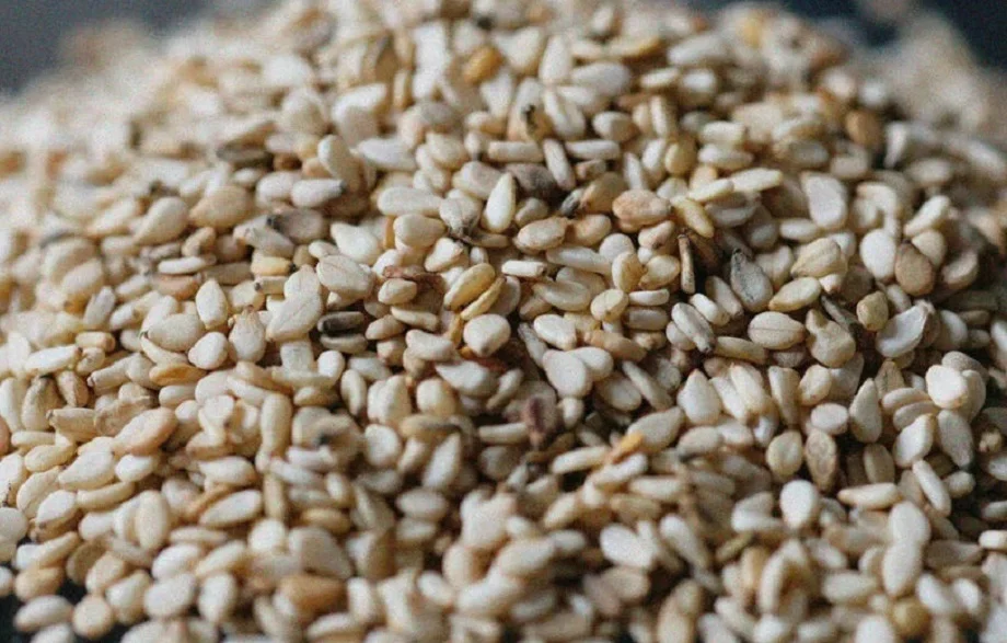 Health Tips: सर्दी के मौसम में खाना शुरू कर दें तिल, सेहत को मिलते हैं ये गजब के फायदे