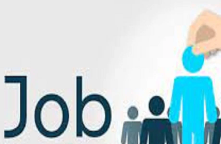 Government Jobs: इस भर्ती में वॉक-इन-इंटरव्यू के आधार पर होगा अभ्यर्थी का चयन, मिलेगा इतना मोटा वेतन