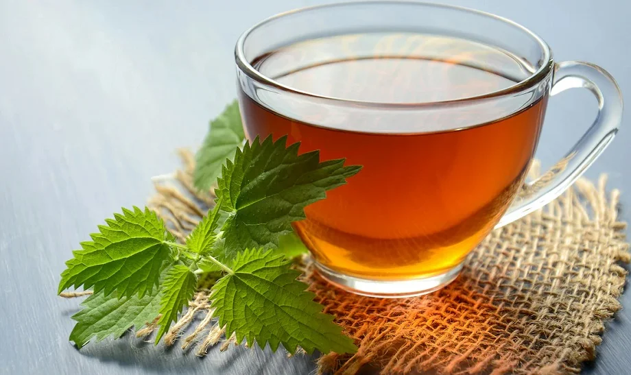 Health Tips: इन लोगों को नहीं पीनी चाहिए ग्रीन टी, बढ़ सकती हैं परेशानियां