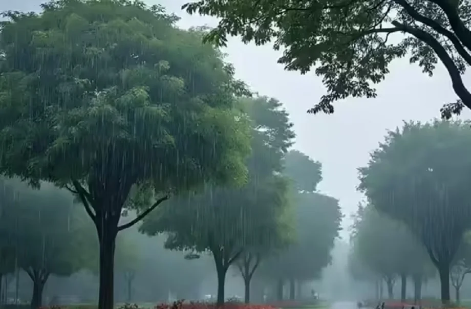 Rajasthan weather update:  आज इन संभागों में बारिश का अलर्ट, सर्दी को लेकर जारी हुई ये चेतावनी