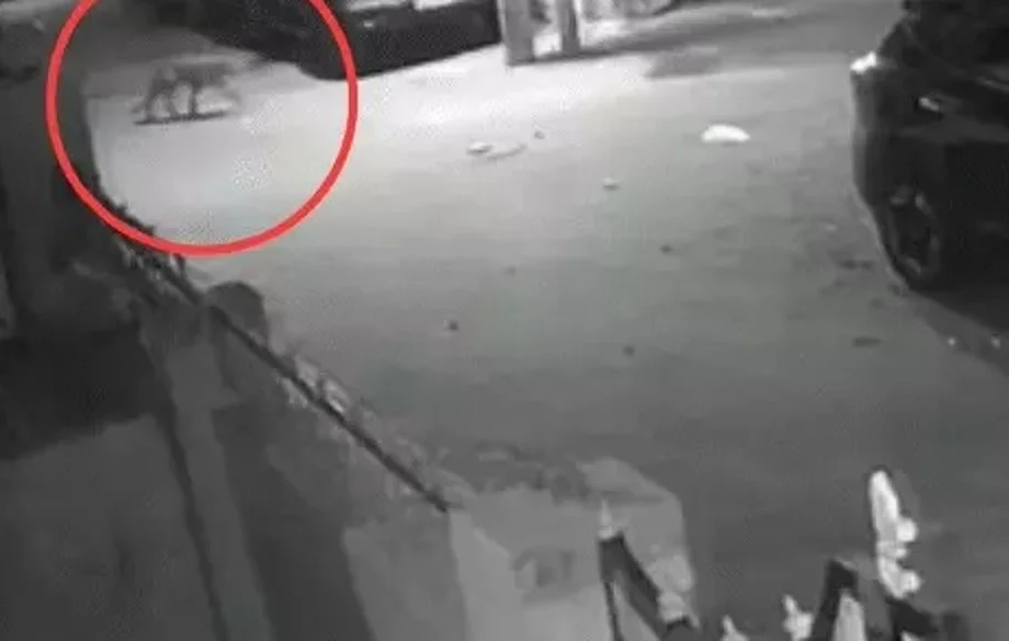 Jaipur: अब सड़क और घर की छत पर घूमता दिखा लेपर्ड, वन विभाग की टीम कर रही है तलाश