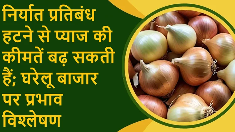 प्याज फिर करेगा परेशान: निर्यात बैन हटने और शुल्क में कमी से बढ़ सकते हैं दाम 