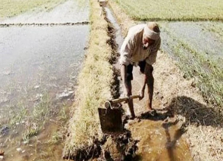 Government scheme: किसानों को नए साल पर मिलेगी बड़ी सौगात, शुरू होने जा है ये मिशन