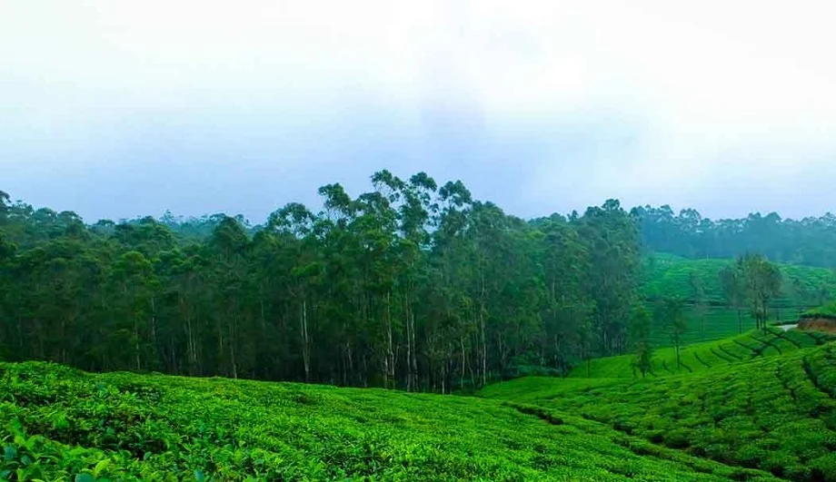 Travel Tips: दूधपथरी हिल स्टेशन है बहुत ही खूबसूरत, बना लें घूमने का प्लान