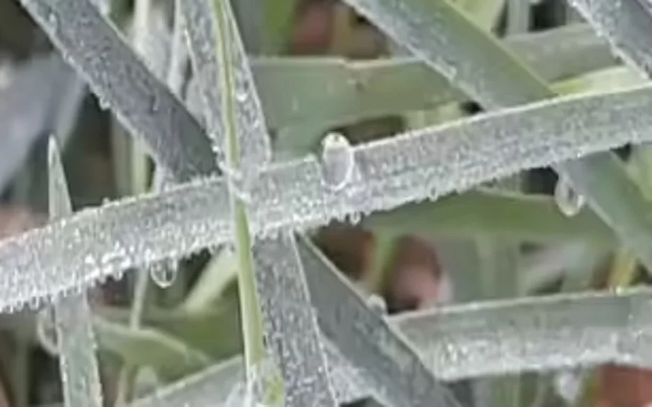 Rajasthan weather update: ठंड को लेकर जारी हुई नई चेतावनी, इतना गिर सकता है तापमान