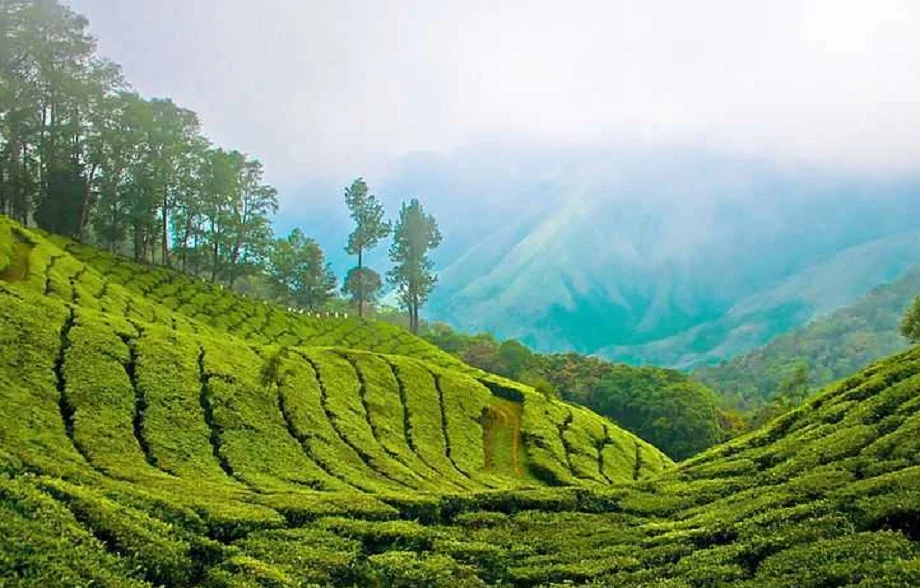 Travel Tips:  आईआरसीटीसी ने पेश किया है केरल के लिए ये शानदार टूर पैकेज, खर्च करने होंगे केवल इतने रुपए