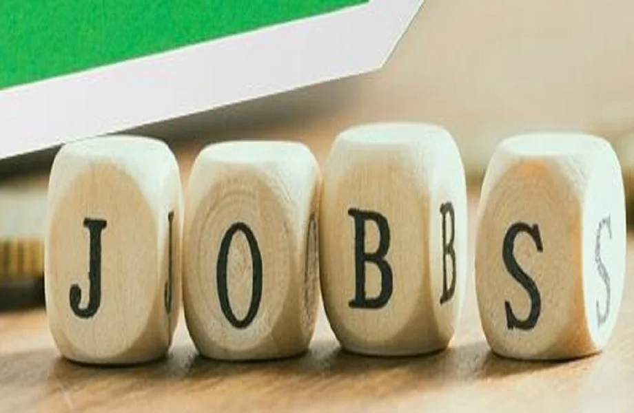 Government Jobs: पटवारी के 530 पदों पर निकली भर्ती, इनके पास है आवेदन करने का मौका