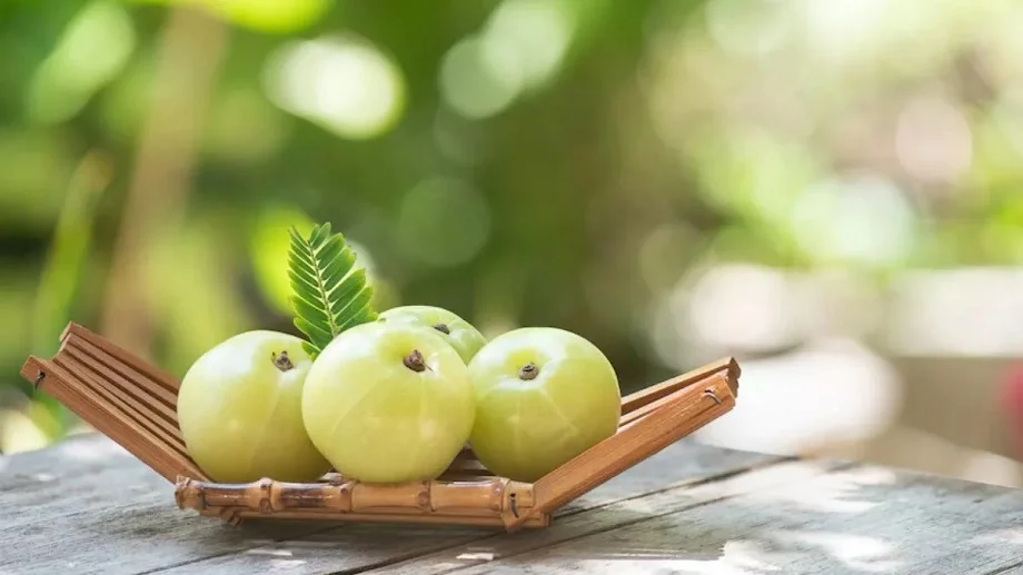 Health Tips:  सर्दियों में आप भी करें खाली पेट आंवले का सेवन, फायदे जानकर कर देंगे आज से ही शुरू