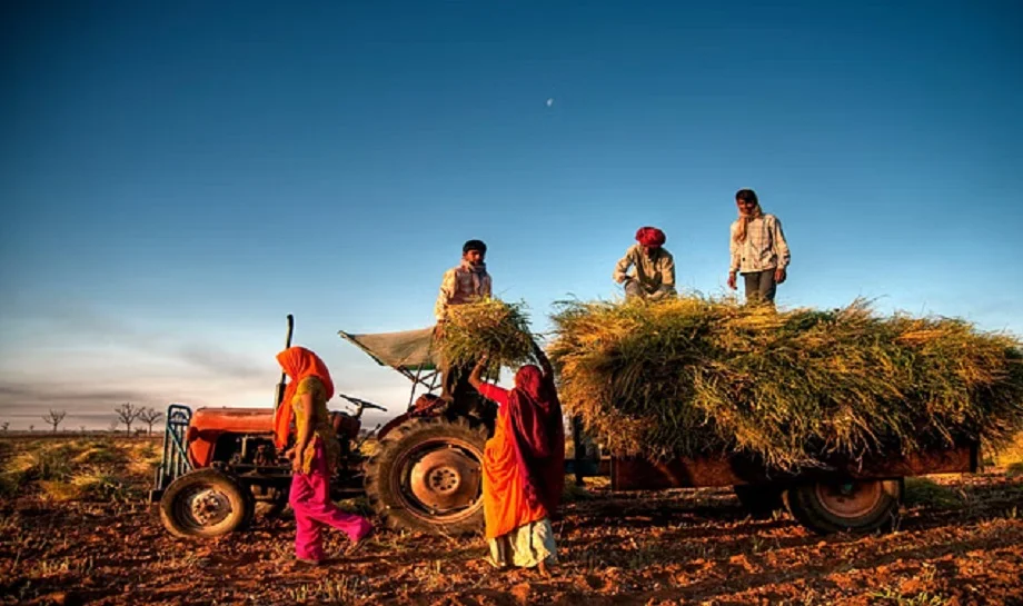 PM Kisan Yojana: 22वीं किस्त जारी होने से पहले आपको करने होंगे ये जरूरी काम, नहीं तो अटक जाएगी किस्त
