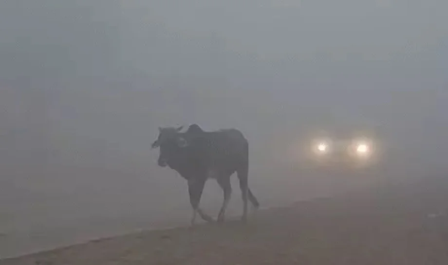 Rajasthan Weather Update: नए पश्चिमी विक्षोभ का प्रदेश में पड़ेगा प्रभाव, जारी हुआ ये अलर्ट