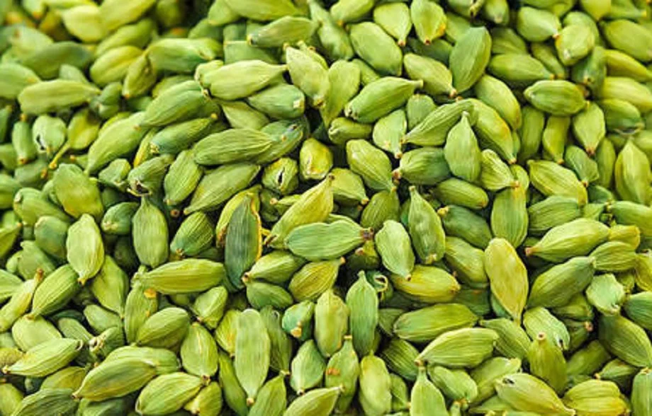 Health Tips: रात को सोने से पहले खा लें केवल एक इलायची, सेहत को मिलेंगे ये गजब के फायदे