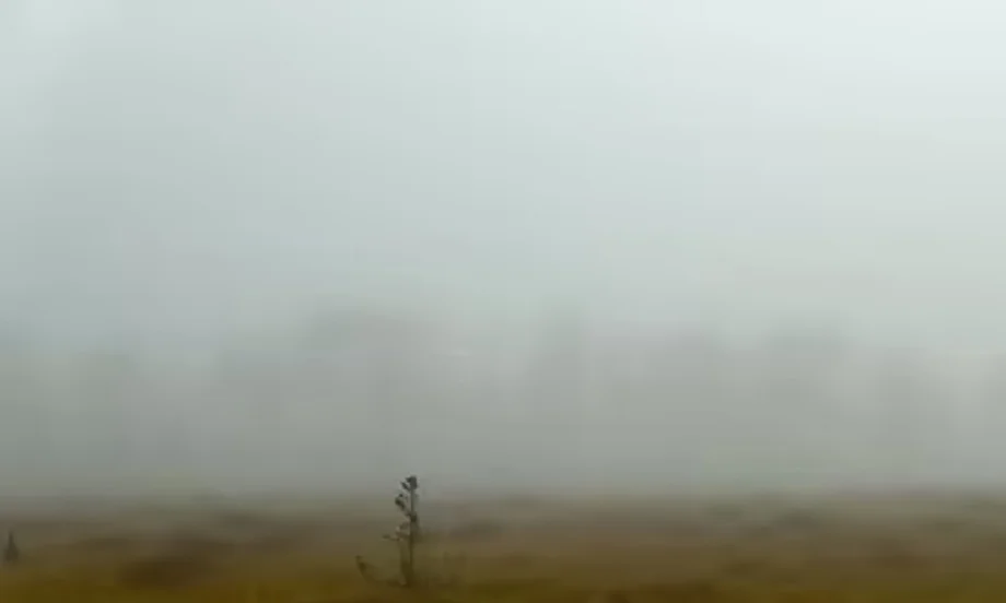 Rajasthan weather update:  प्रदेश में पड़ रही है कड़ाके की ठंड, 4 डिग्री तक गिर सकता है तापमान