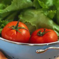 Lycopen tomater prostatacancer