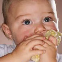 TCEP falmmehaemmer barn