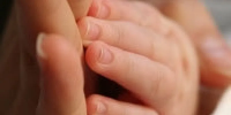 Barnloshed 75nkwjexa