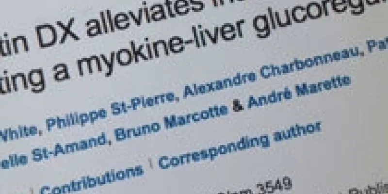 Diabetes PDX forskning 75nm8tgw8