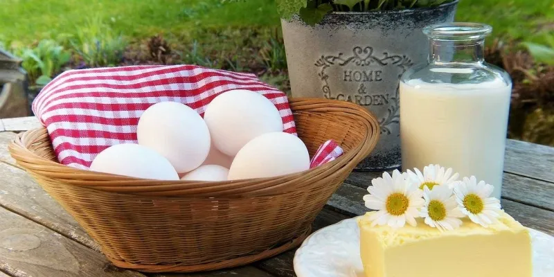 Eggs milk chees calcium d0c25c0897 75nm8t93d