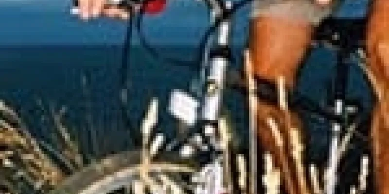 Gigt motion cykel 75nm8tgao