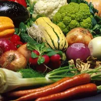 Groentsager brystkraeft