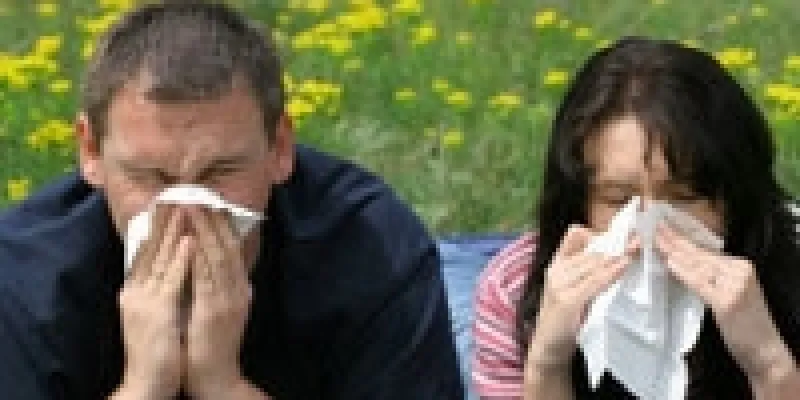 Hofeber hofeber allergisk rhinitis 75nm8t8qt